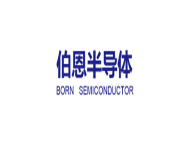 BORN_伯恩半导体